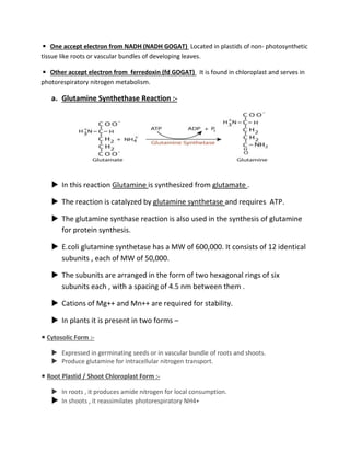 ◾ One accept electron from NADH (NADH GOGAT) Located in plastids of non- photosynthetic
tissue like roots or vascular bundles of developing leaves.
◾ Other accept electron from ferredoxin (fd GOGAT) It is found in chloroplast and serves in
photorespiratory nitrogen metabolism.
a. Glutamine Synthethase Reaction :-
 In this reaction Glutamine is synthesized from glutamate .
 The reaction is catalyzed by glutamine synthetase and requires ATP.
 The glutamine synthase reaction is also used in the synthesis of glutamine
for protein synthesis.
 E.coli glutamine synthetase has a MW of 600,000. It consists of 12 identical
subunits , each of MW of 50,000.
 The subunits are arranged in the form of two hexagonal rings of six
subunits each , with a spacing of 4.5 nm between them .
 Cations of Mg++ and Mn++ are required for stability.
 In plants it is present in two forms –
◾ Cytosolic Form :-
 Expressed in germinating seeds or in vascular bundle of roots and shoots.
 Produce glutamine for intracellular nitrogen transport.
◾ Root Plastid / Shoot Chloroplast Form :-
 In roots , it produces amide nitrogen for local consumption.
 In shoots , it reassimilates photorespiratory NH4+
 