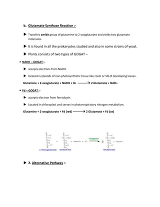 b. Glutamate Synthase Reaction :-
 Transfers amide group of glutamine to 2-oxoglutarate and yields two glutamate
molecules.
 It is found in all the prokaryotes studied and also in some strains of yeast.
 Plants consists of two types of GOGAT –
◾ NADH – GOGAT :-
 accepts electrons from NADH.
 located in plastids of non-photosynthetic tissue like roots or VB of developing leaves.
Glutamine + 2-oxoglutarate + NADH + H+ –––––– 2 Glutamate + NAD+
◾ Fd – GOGAT :-
 accepts electron from ferrodoxin.
 Located in chloroplast and serves in photorespiratory nitrogen metabolism.
Glutamine + 2-oxoglutarate + Fd (red) –––––– 2 Glutamate + Fd (ox)
 2. Alternative Pathway :-
 
