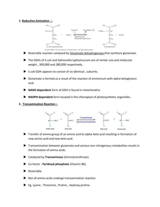 1. Reductive Amination :-
 Reversible reaction catalysed by Glutamate dehydrogenase that synthesis glutamate.
 The GDHs of E.coli and Salmonella typhyimurium are of similar size and molecular
weight , 300,000 and 280,000 respectively.
 E.coli GDH appears to consist of six identical , subunits.
 Glutamate is formed as a result of the reaction of ammonium with alpha-ketoglutaric
acid.
 NADH dependent form of GDH is found in mitochondria.
 NADPH dependent form located in the chloroplast of photosynthetic organelles.
2. Transamination Reaction :-
 Transfer of amino group of an amino acid to alpha-keto acid resulting in formation of
new amino acid and new keto acid.
 Transamination between glutamate and various non-nitrogenous metabolites results in
the formation of amino acids.
 Catalyzed by Transaminase (Aminotransferase).
 Co-factor : Pyridoxal phosphate (Vitamin B6).
 Reversible.
 Not all amino acids undergo transamination reaction.
 Eg. Lysine , Threonine , Proline , Hydroxy proline .
 