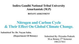 Nitrogen and Carbon Cycle
& Their Effect On Global Climate Change.
Submitted To: Dr. Nayan Sahu.
(Department Of Botany)
Indira Gandhi National Tribal University
Amarkantak (M.P)
BOTANY ASSIGNMENT
Submitted By: Priyanka Prakash.
M.sc Botany 2nd Semester
1901217011
 