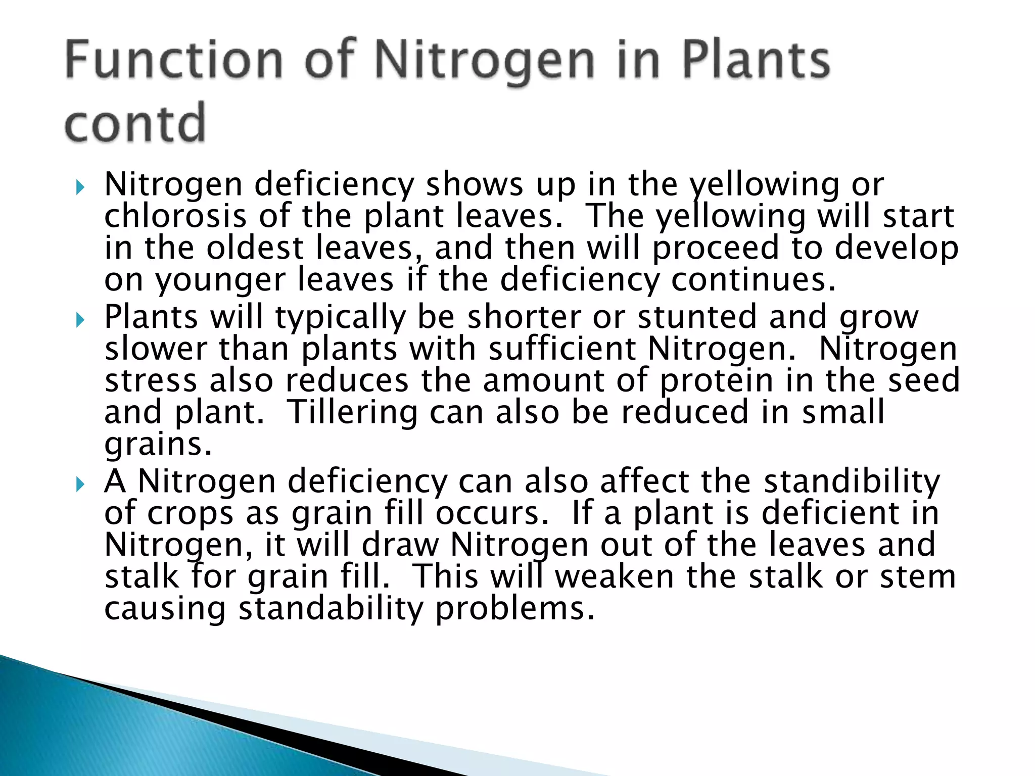  Nitrogen deficiency shows up in the yellowing or
chlorosis of the plant leaves. The yellowing will start
in the oldest leaves, and then will proceed to develop
on younger leaves if the deficiency continues.
 Plants will typically be shorter or stunted and grow
slower than plants with sufficient Nitrogen. Nitrogen
stress also reduces the amount of protein in the seed
and plant. Tillering can also be reduced in small
grains.
 A Nitrogen deficiency can also affect the standibility
of crops as grain fill occurs. If a plant is deficient in
Nitrogen, it will draw Nitrogen out of the leaves and
stalk for grain fill. This will weaken the stalk or stem
causing standability problems.
 