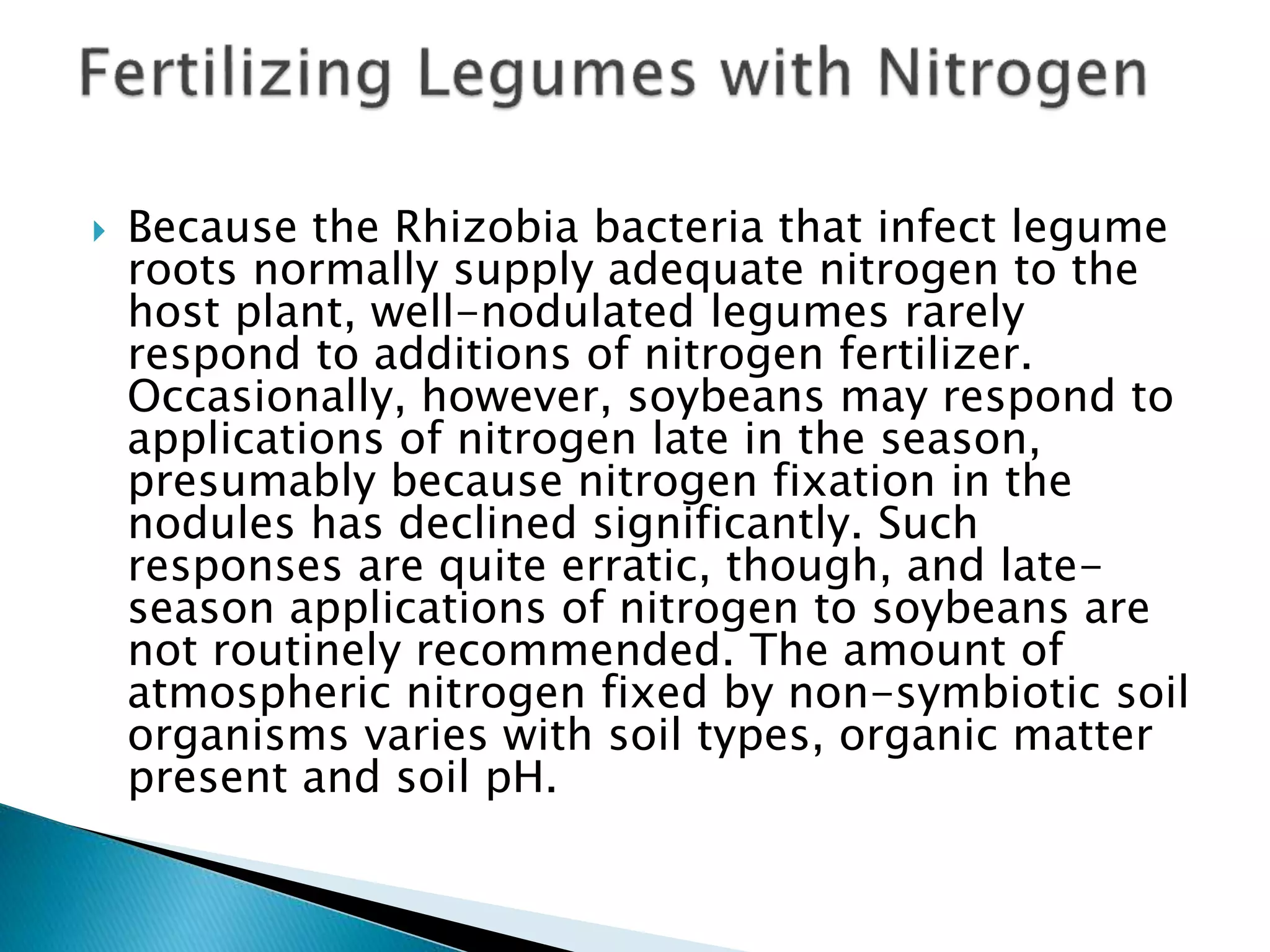  Because the Rhizobia bacteria that infect legume
roots normally supply adequate nitrogen to the
host plant, well-nodulated legumes rarely
respond to additions of nitrogen fertilizer.
Occasionally, however, soybeans may respond to
applications of nitrogen late in the season,
presumably because nitrogen fixation in the
nodules has declined significantly. Such
responses are quite erratic, though, and late-
season applications of nitrogen to soybeans are
not routinely recommended. The amount of
atmospheric nitrogen fixed by non-symbiotic soil
organisms varies with soil types, organic matter
present and soil pH.
 