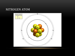 Nitrogen and sulfur cycles | PPT