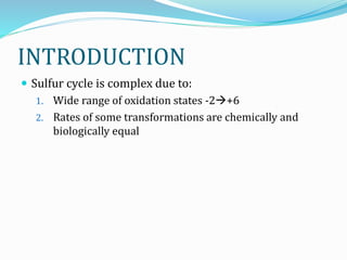 Nitrogen and sulfur cycles | PPT