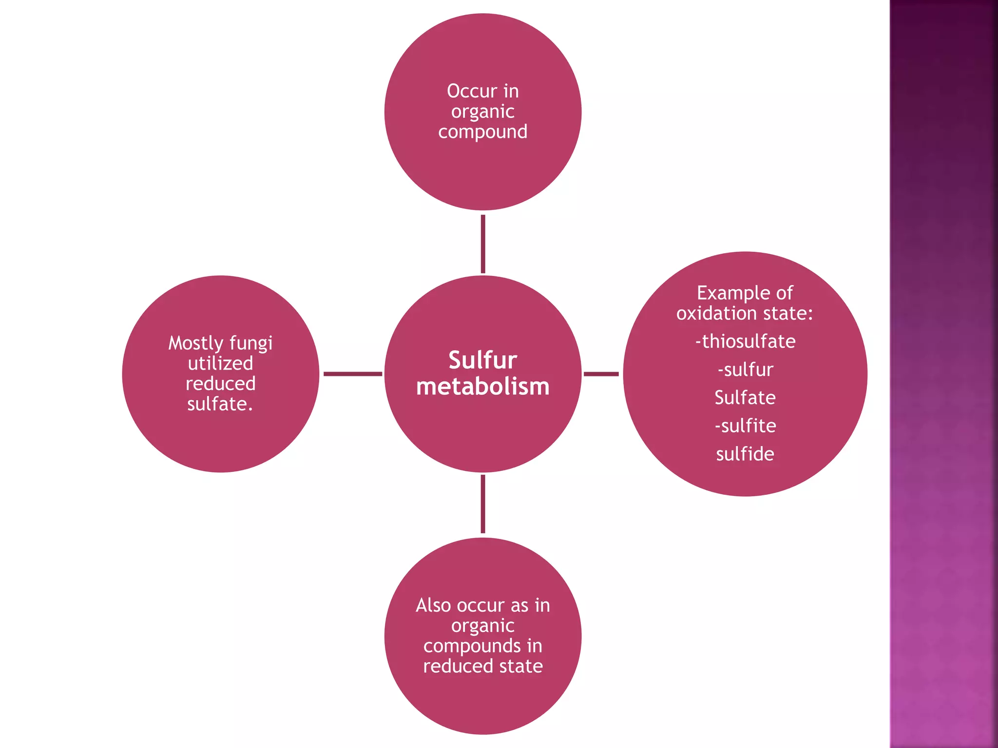 Nitrogen and sulfur metabolism | PPT
