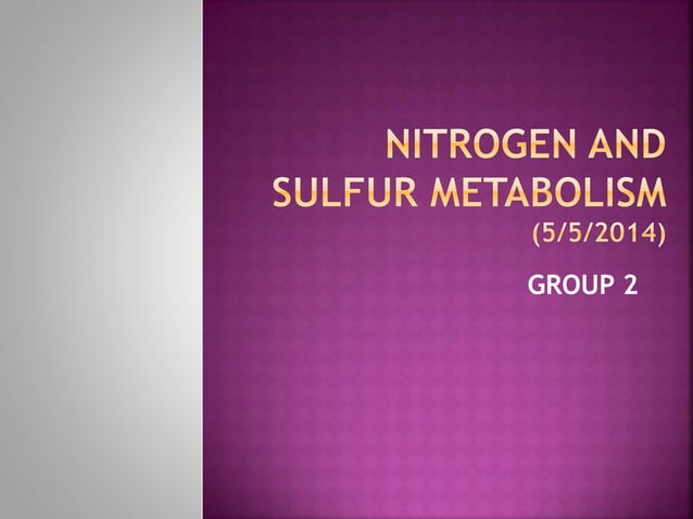 Nitrogen and sulfur metabolism | PPTX