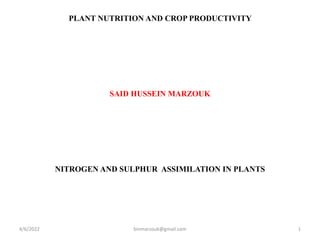 PLANT NUTRITION AND CROP PRODUCTIVITY
SAID HUSSEIN MARZOUK
NITROGEN AND SULPHUR ASSIMILATION IN PLANTS
4/6/2022 1
binmarzouk@gmail.com
 
