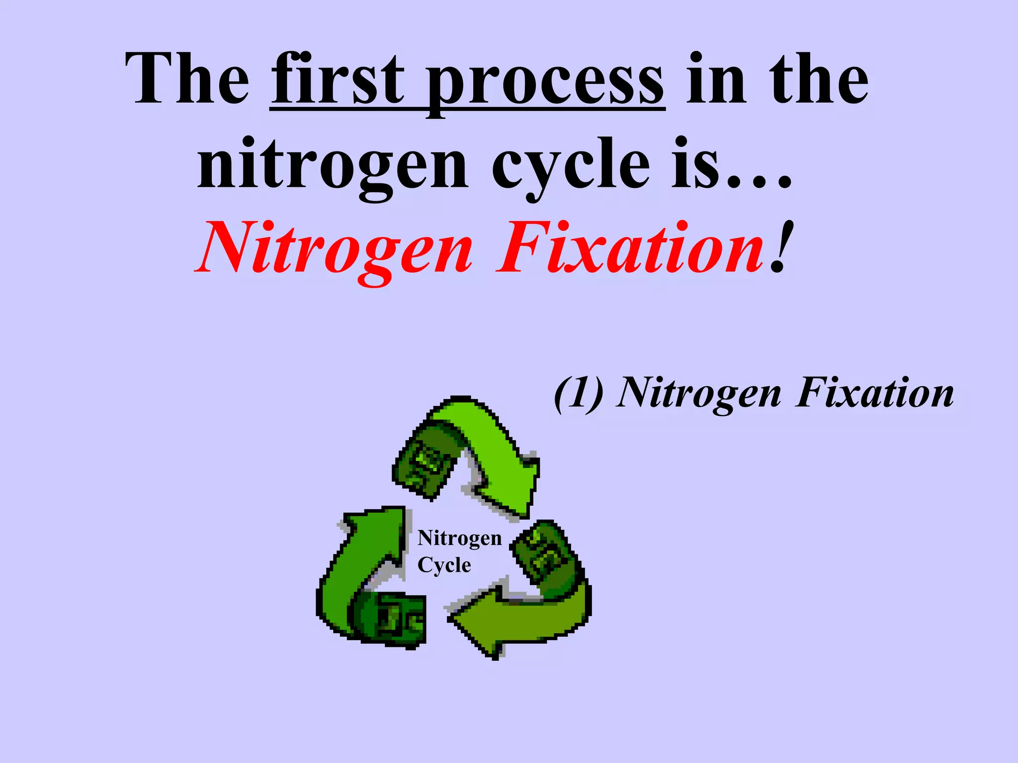 The  first process  in the nitrogen cycle is… Nitrogen Fixation ! (1) Nitrogen Fixation Nitrogen Cycle 