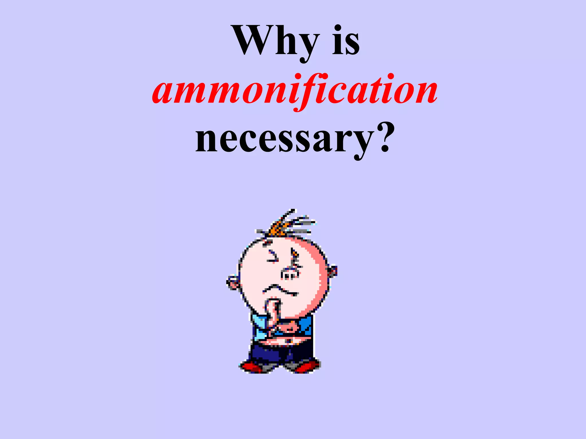Why is  ammonification  necessary? 