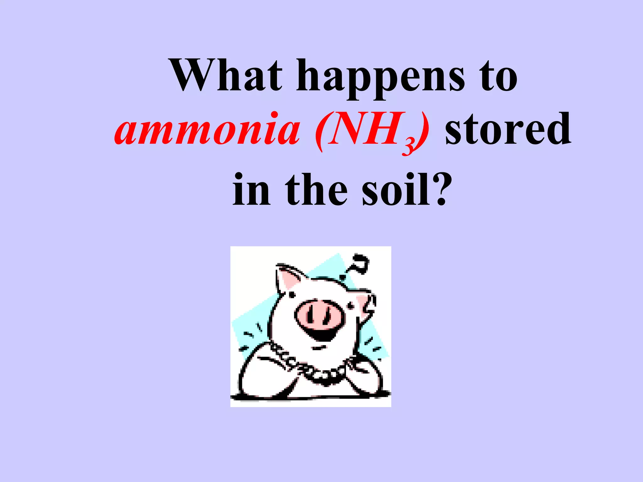 What happens to  ammonia (NH 3 )  stored in the soil? 