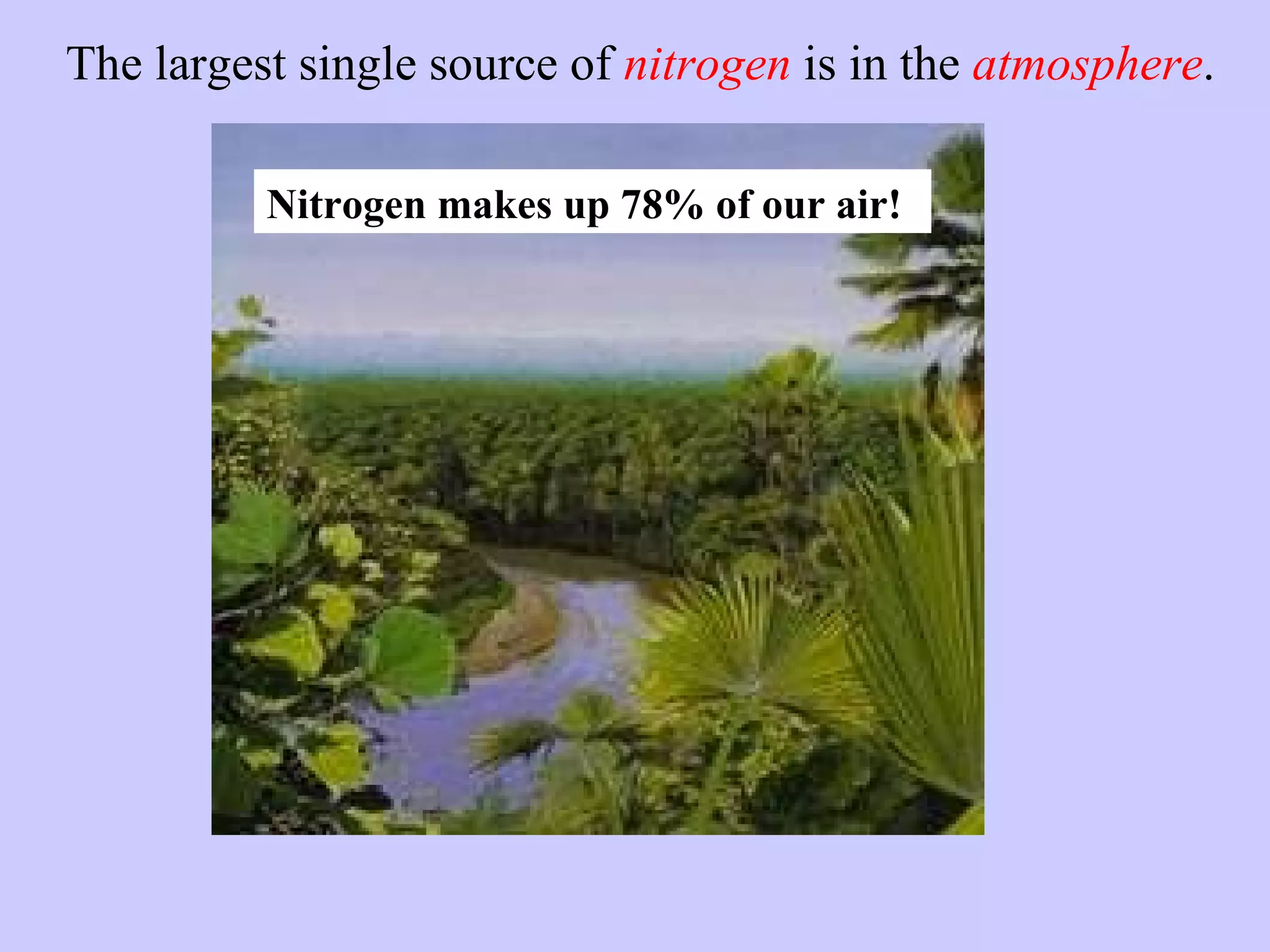 The largest single source of  nitrogen  is in the  atmosphere . Nitrogen makes up 78% of our air! 