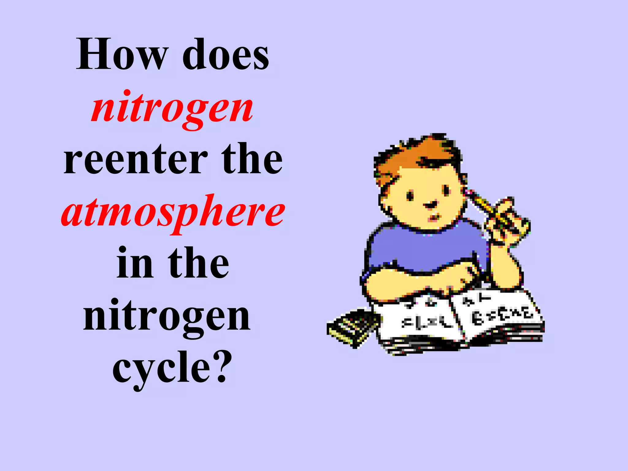 How does  nitrogen  reenter the  atmosphere  in the nitrogen  cycle? 