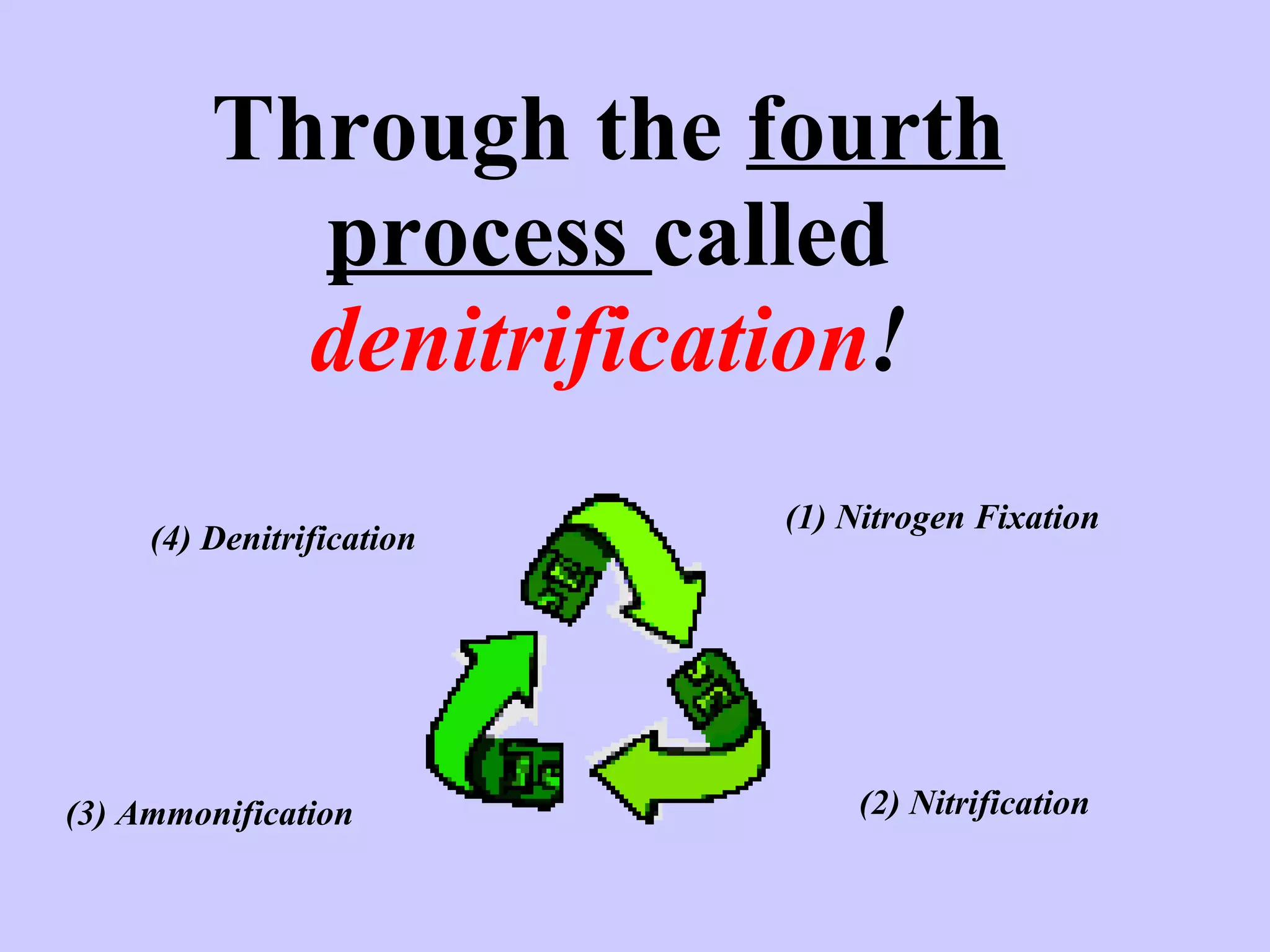 Through the  fourth process  called  denitrification ! (1) Nitrogen Fixation (2) Nitrification (3) Ammonification (4) Denitrification 