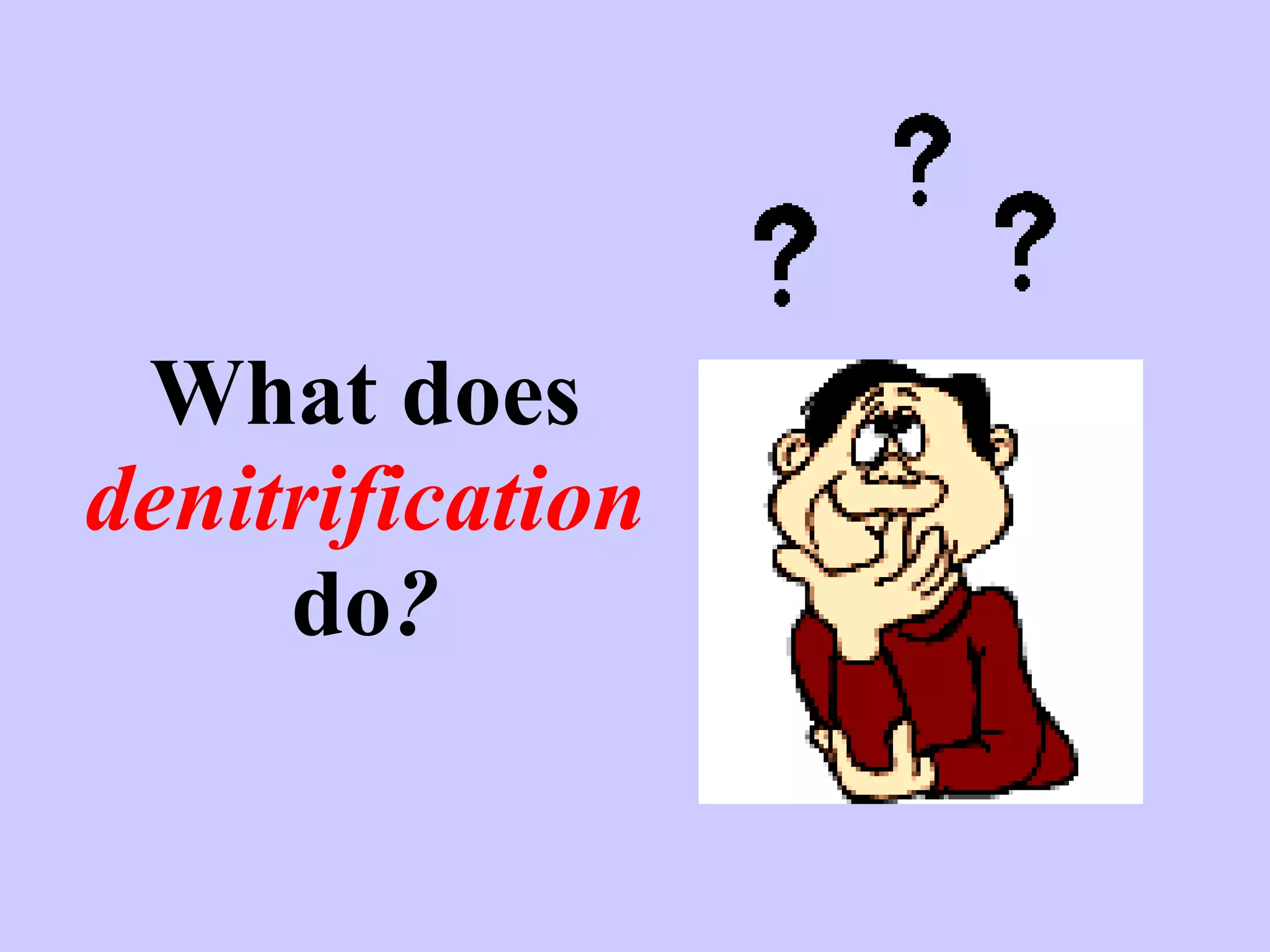 What does  denitrification   do ? 