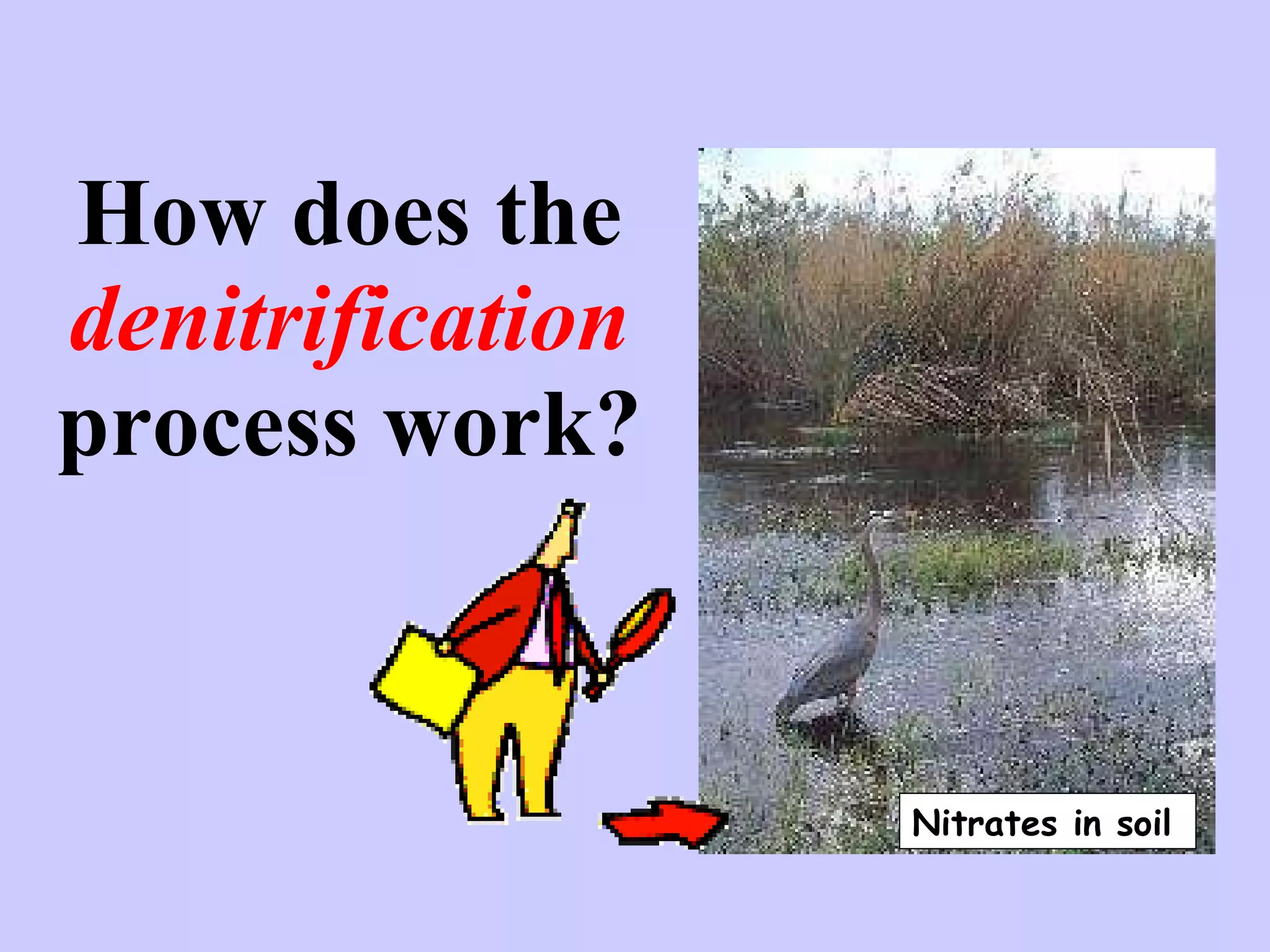 How does the  denitrification  process work? Nitrates in soil 