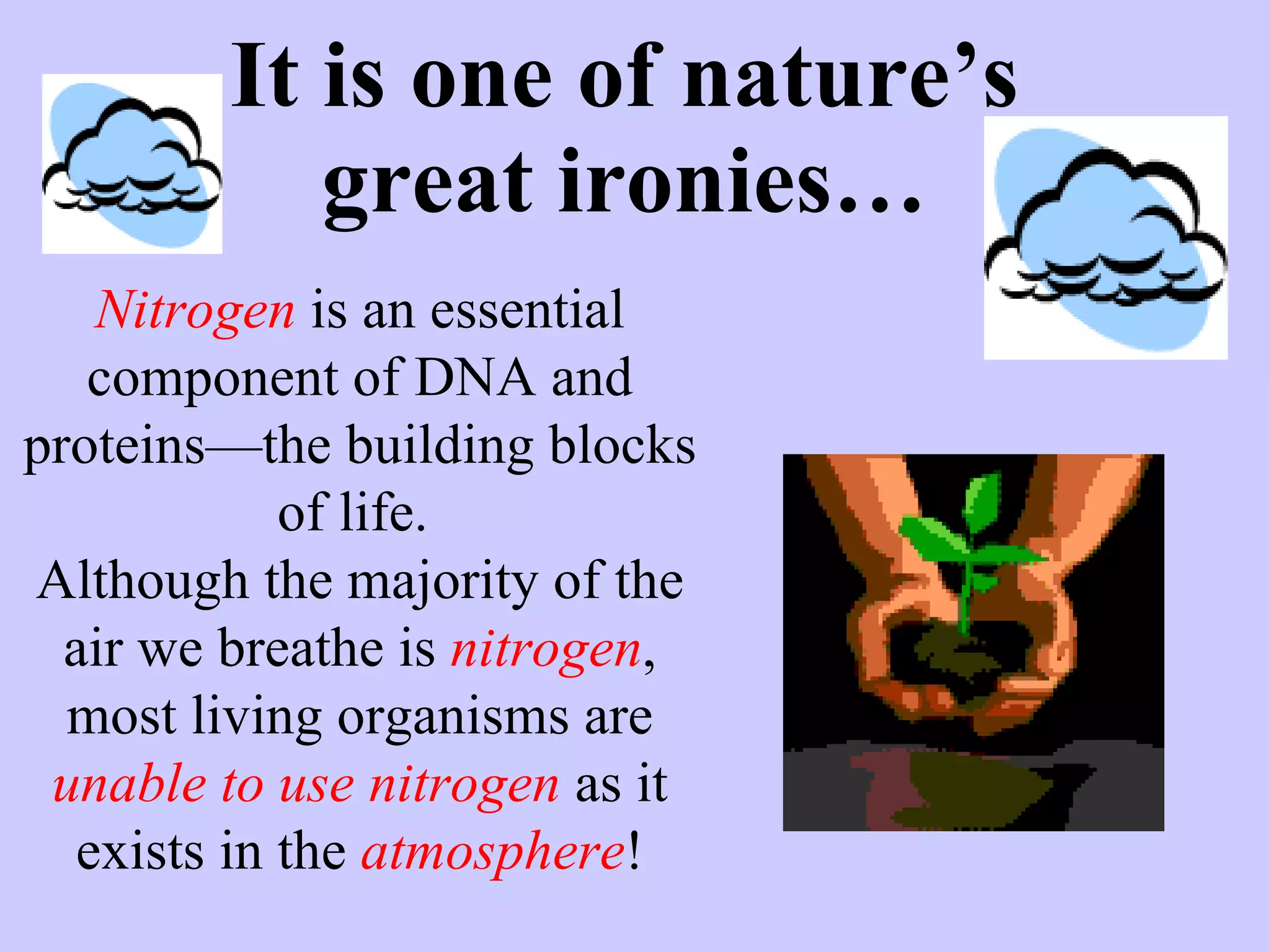 It is one of nature’s great ironies… Nitrogen  is an essential component of DNA and proteins—the building blocks of life.  Although the majority of the air we breathe is  nitrogen , most living organisms are  unable to use   nitrogen  as it exists in the  atmosphere ! 