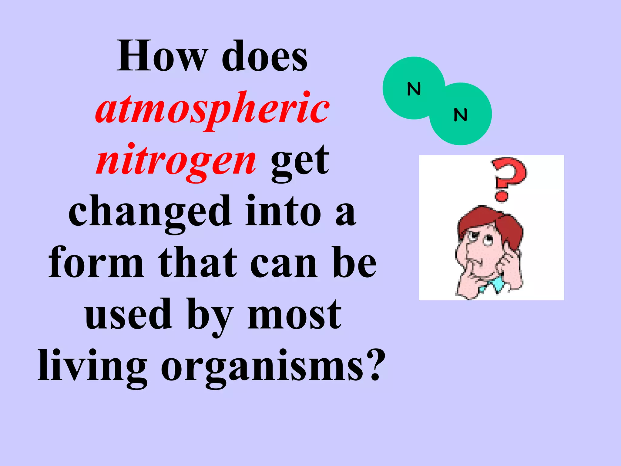 How does  atmospheric   nitrogen  get changed into a form that can be used by most living organisms? N N 