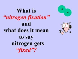 What is  “nitrogen fixation”   and  what does it mean  to say   nitrogen gets   “fixed”?   N N 