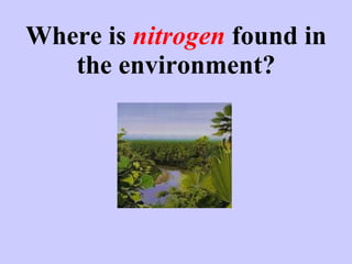 Where is  nitrogen  found in the environment? 