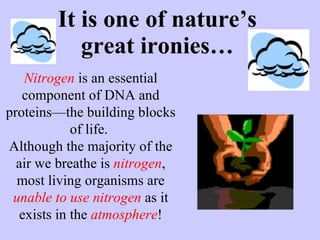 It is one of nature’s great ironies… Nitrogen  is an essential component of DNA and proteins—the building blocks of life.  Although the majority of the air we breathe is  nitrogen , most living organisms are  unable to use   nitrogen  as it exists in the  atmosphere ! 