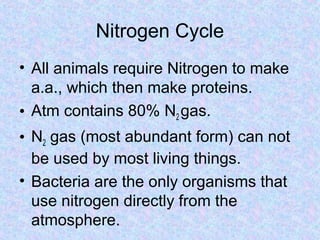 Nitrogen Cycle
• All animals require Nitrogen to make
  a.a., which then make proteins.
• Atm contains 80% N2 gas.
• N2 gas (most abundant form) can not
  be used by most living things.
• Bacteria are the only organisms that
  use nitrogen directly from the
  atmosphere.
 