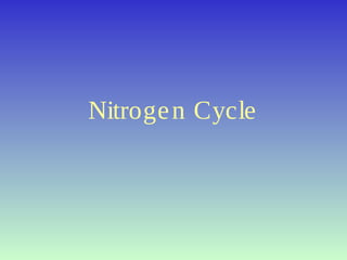 Nitrogen Cycle
 
