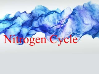 Nitrogen Cycle
Nitrogen Cycle
 