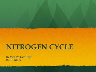 NITROGEN CYCLE
BY MOLLY RATHORE
IX-NILGIRIS

 