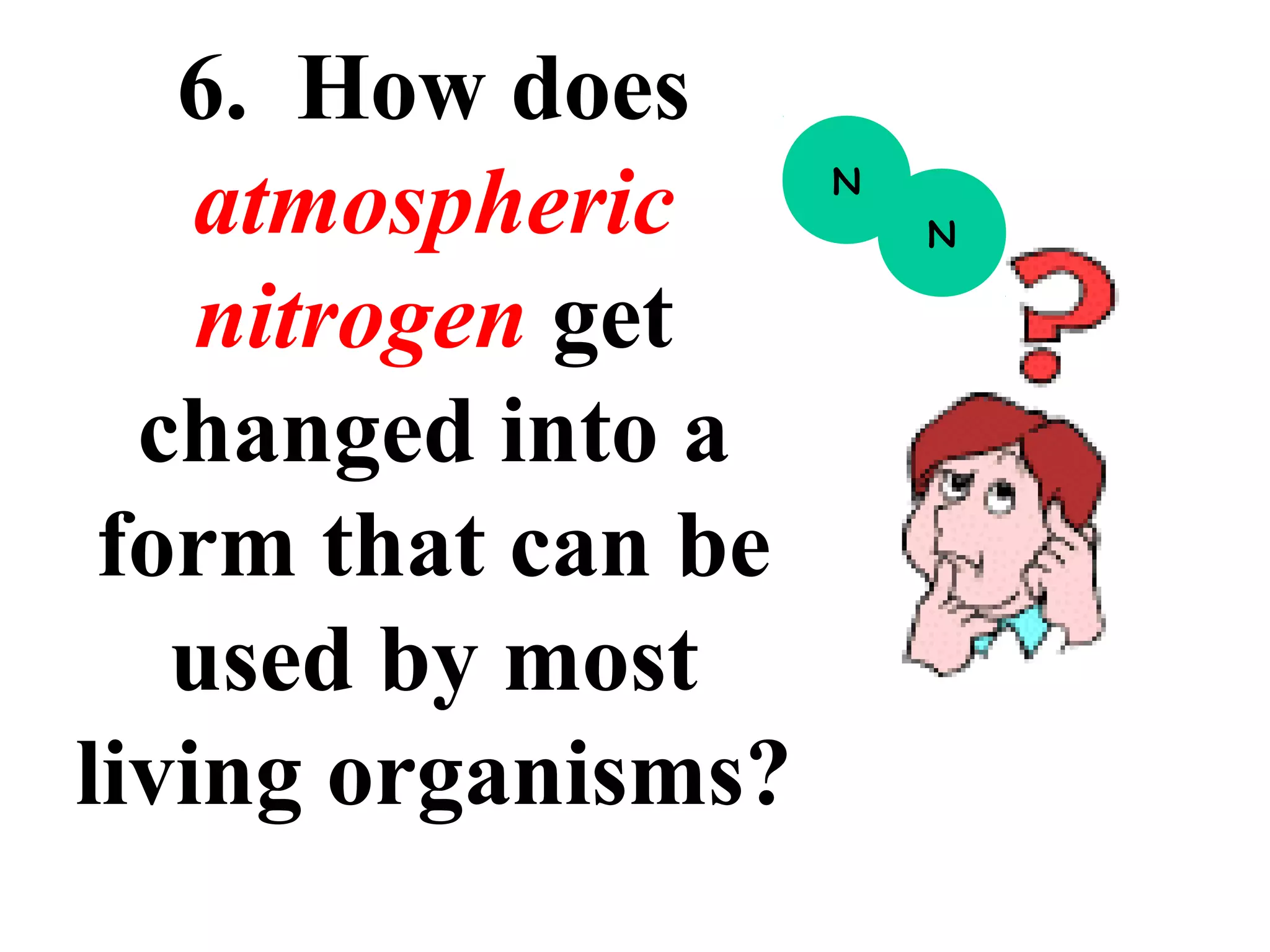 6. How does
atmospheric
nitrogen get
changed into a
form that can be
used by most
living organisms?

N
N

 