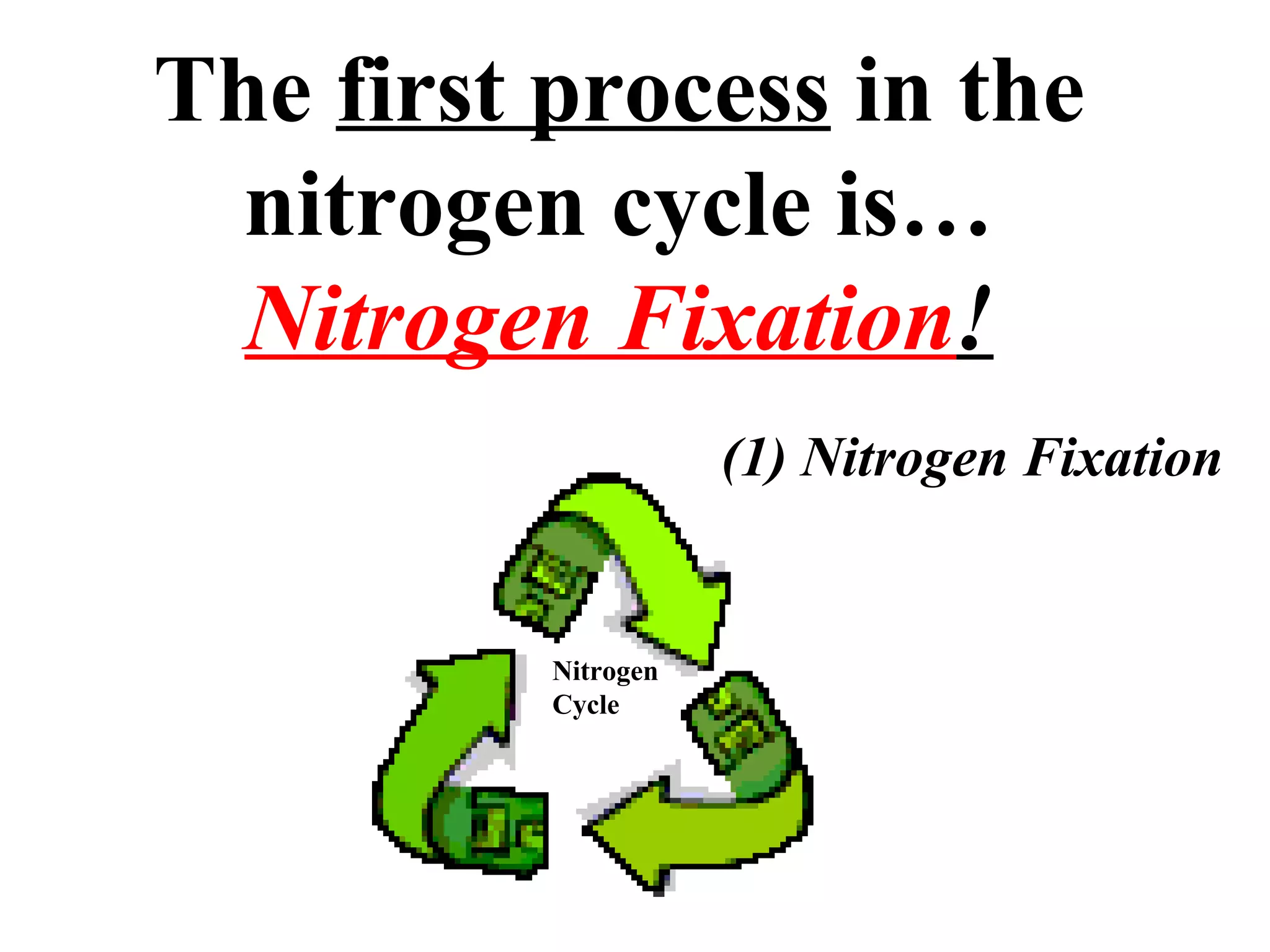 The first process in the
nitrogen cycle is…
Nitrogen Fixation!
(1) Nitrogen Fixation

Nitrogen
Cycle

 