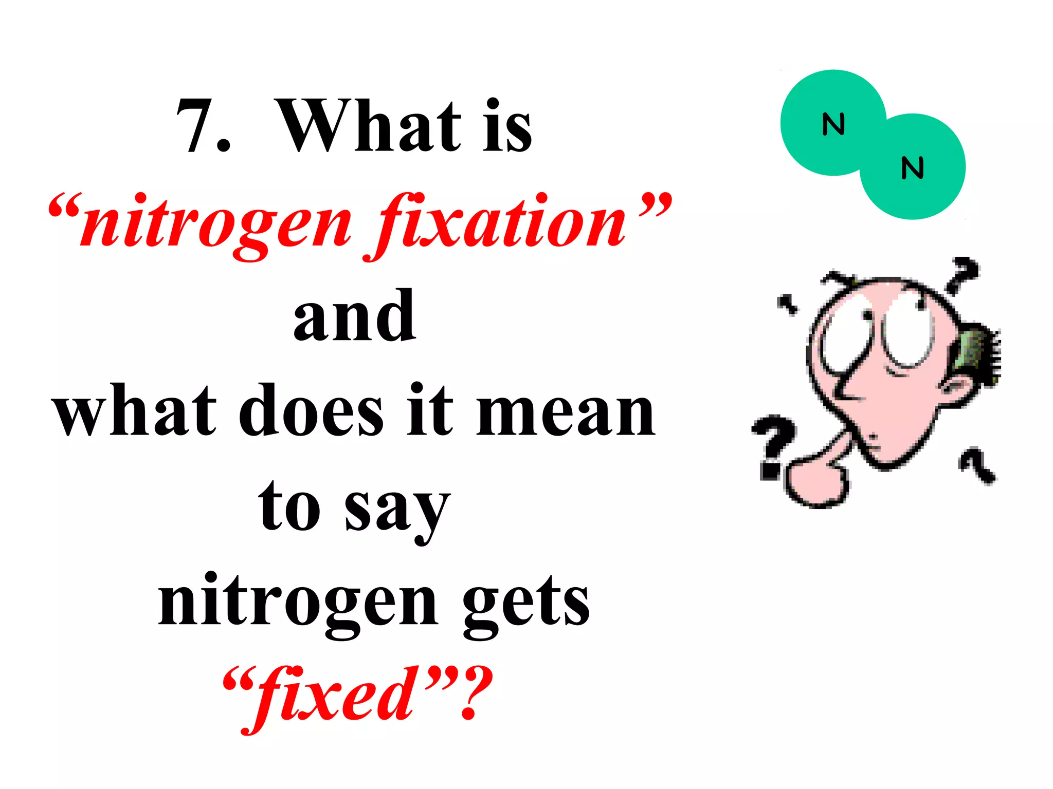 7. What is
“nitrogen fixation”
and
what does it mean
to say
nitrogen gets
“fixed”?

N
N

 