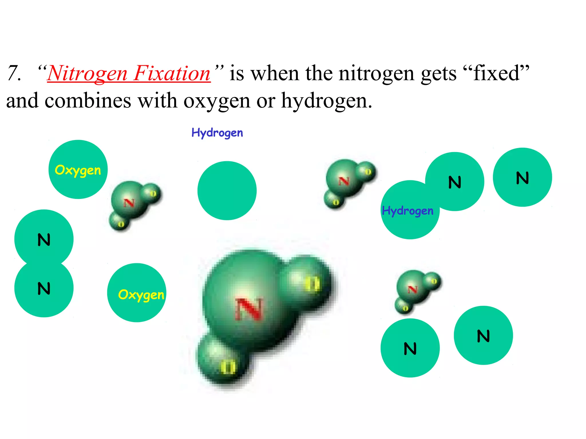 7. “Nitrogen Fixation” is when the nitrogen gets “fixed”
and combines with oxygen or hydrogen.
Hydrogen

Oxygen

N

N
Hydrogen

N
N

Oxygen

N

N

 