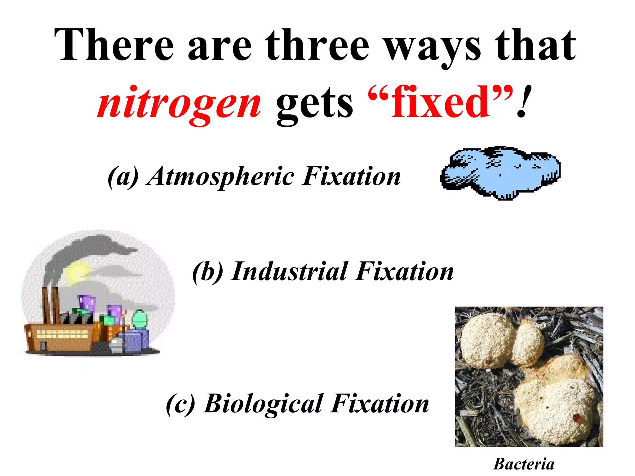 There are three ways that
nitrogen gets “fixed”!
(a) Atmospheric Fixation
(b) Industrial Fixation

(c) Biological Fixation
Bacteria

 