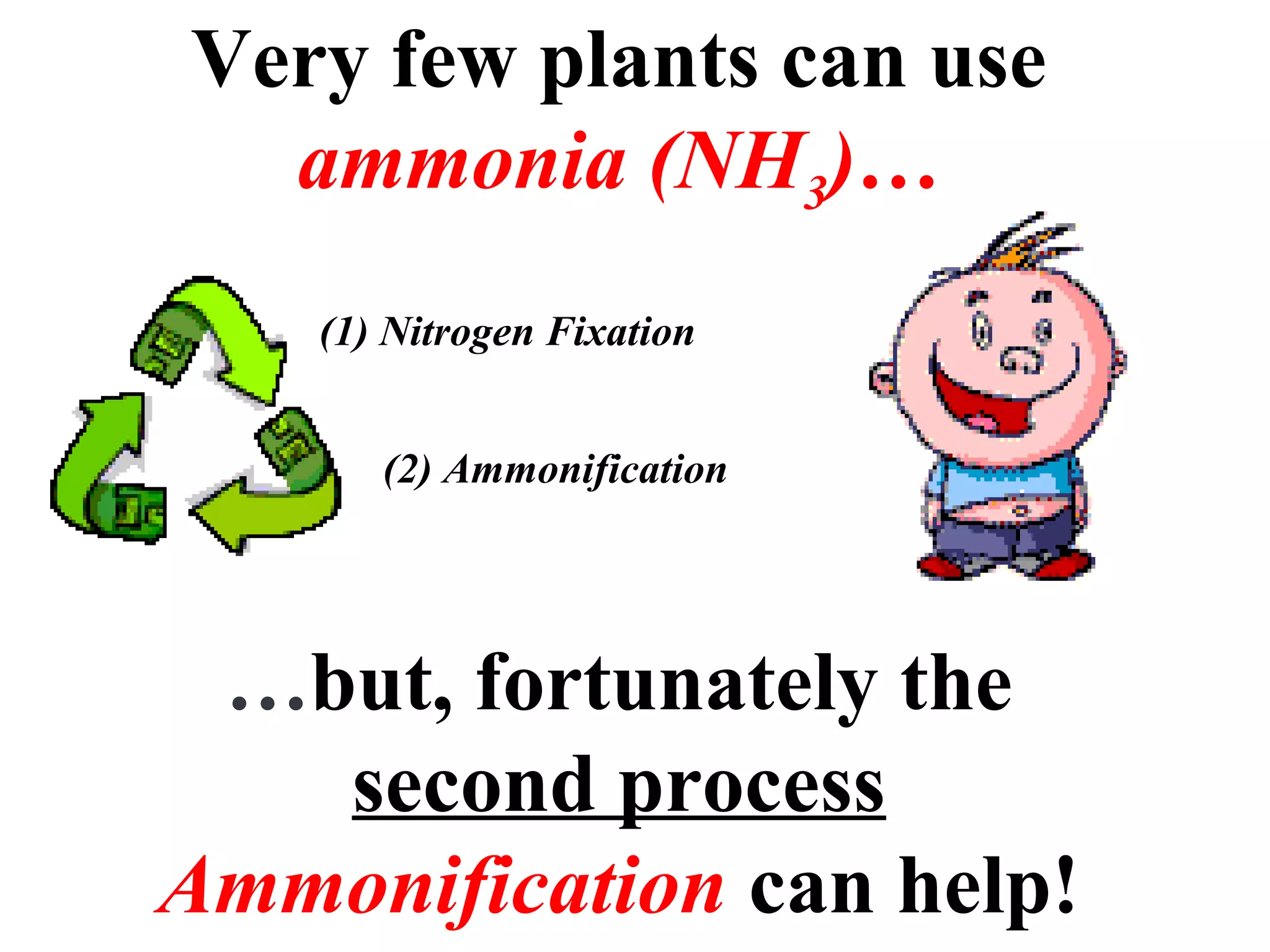 Very few plants can use
ammonia (NH3)…
(1) Nitrogen Fixation
(2) Ammonification

…but, fortunately the
second process
Ammonification can help!

 