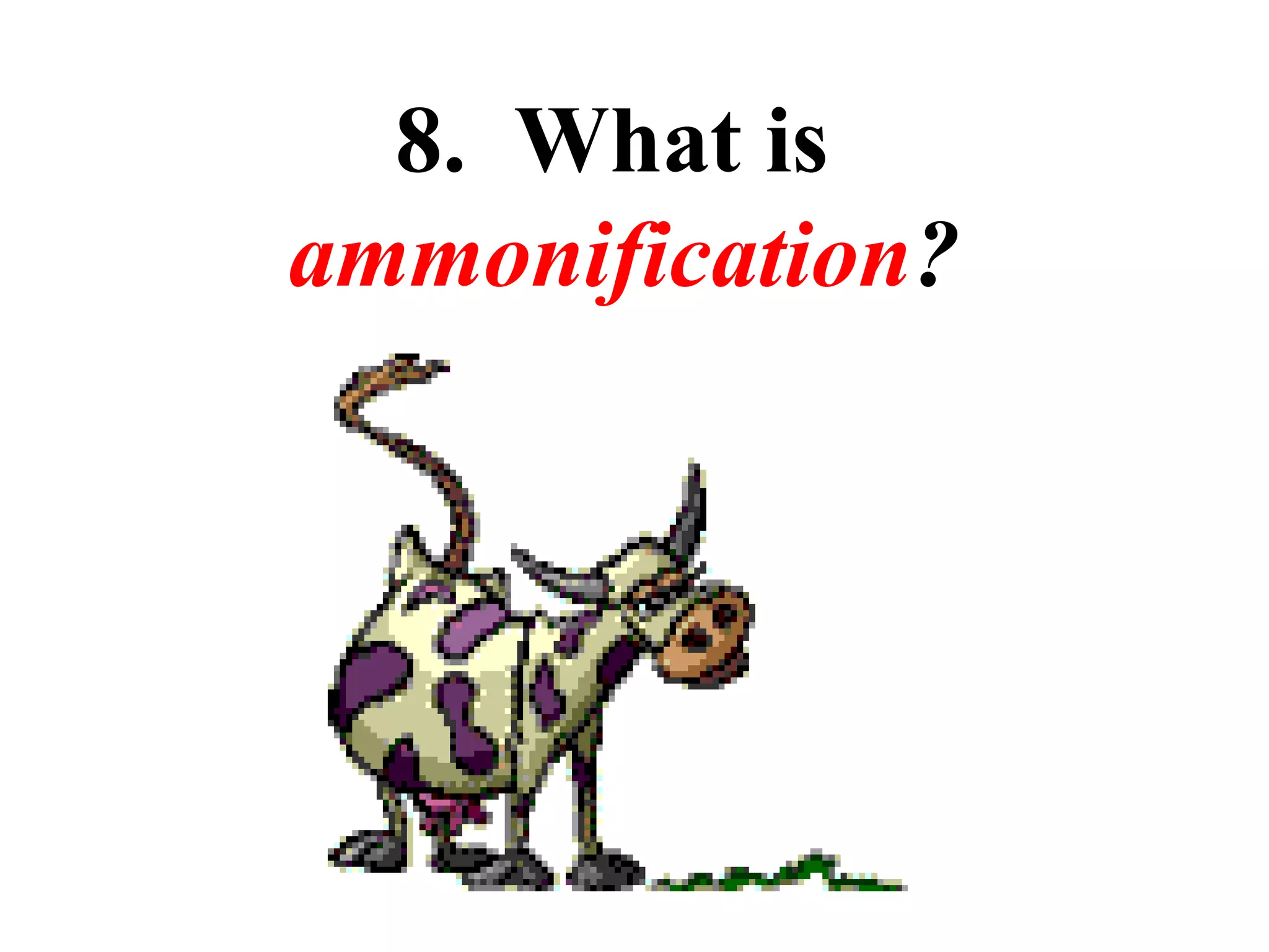 8. What is
ammonification?

 
