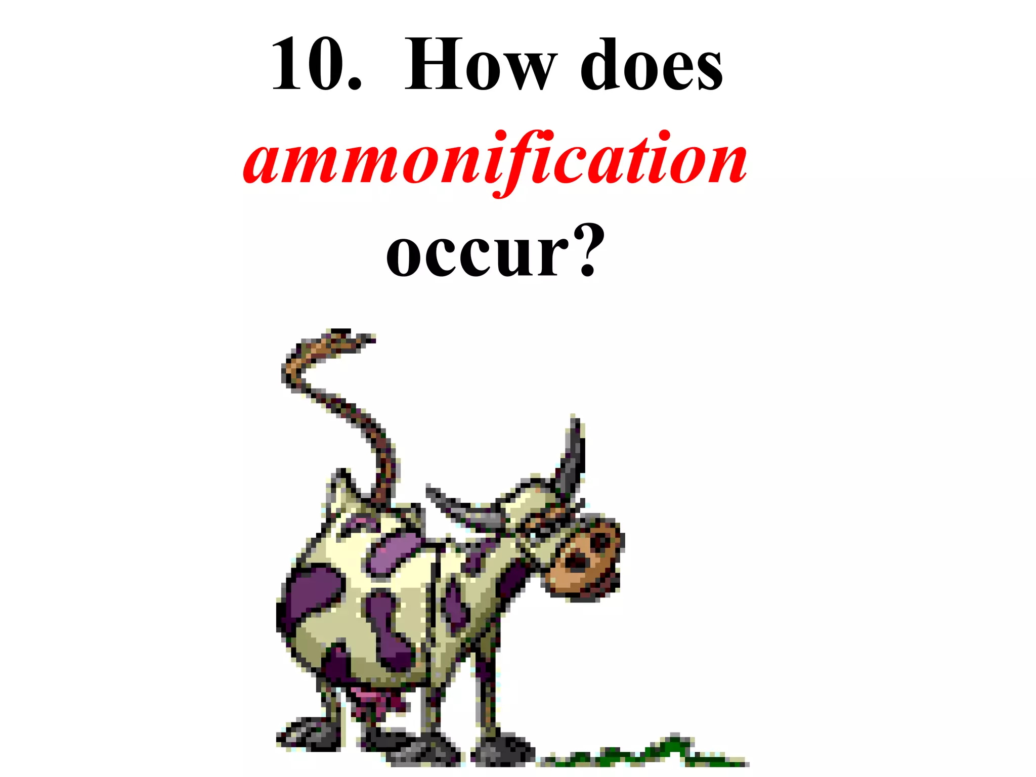 10. How does
ammonification
occur?

 