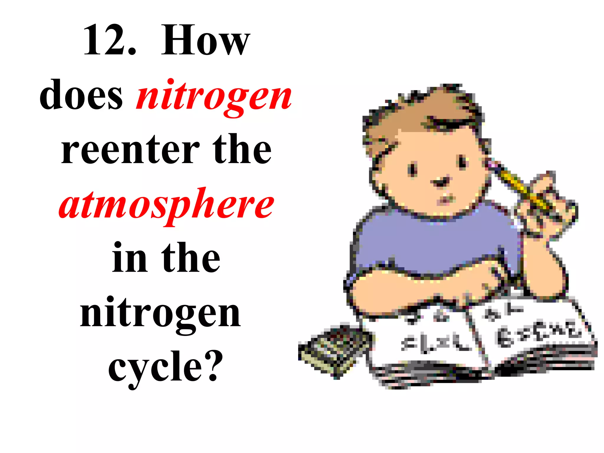 12. How
does nitrogen
reenter the
atmosphere
in the
nitrogen
cycle?

 