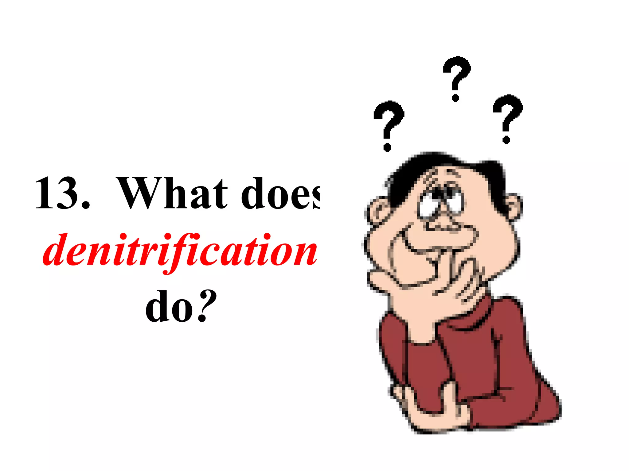 13. What does
denitrification
do?

 