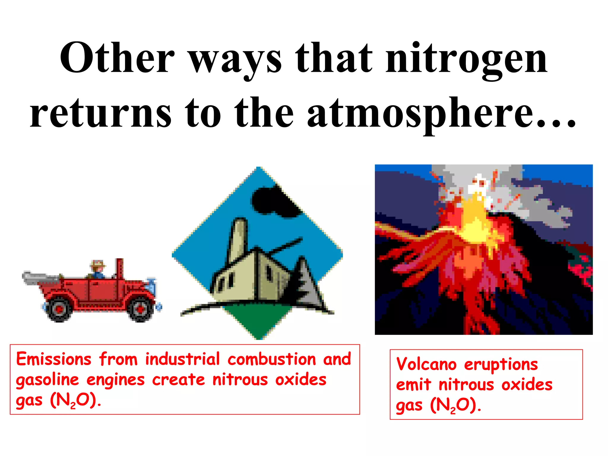 Other ways that nitrogen
returns to the atmosphere…

Emissions from industrial combustion and
gasoline engines create nitrous oxides
gas (N2O).

Volcano eruptions
emit nitrous oxides
gas (N2O).

 