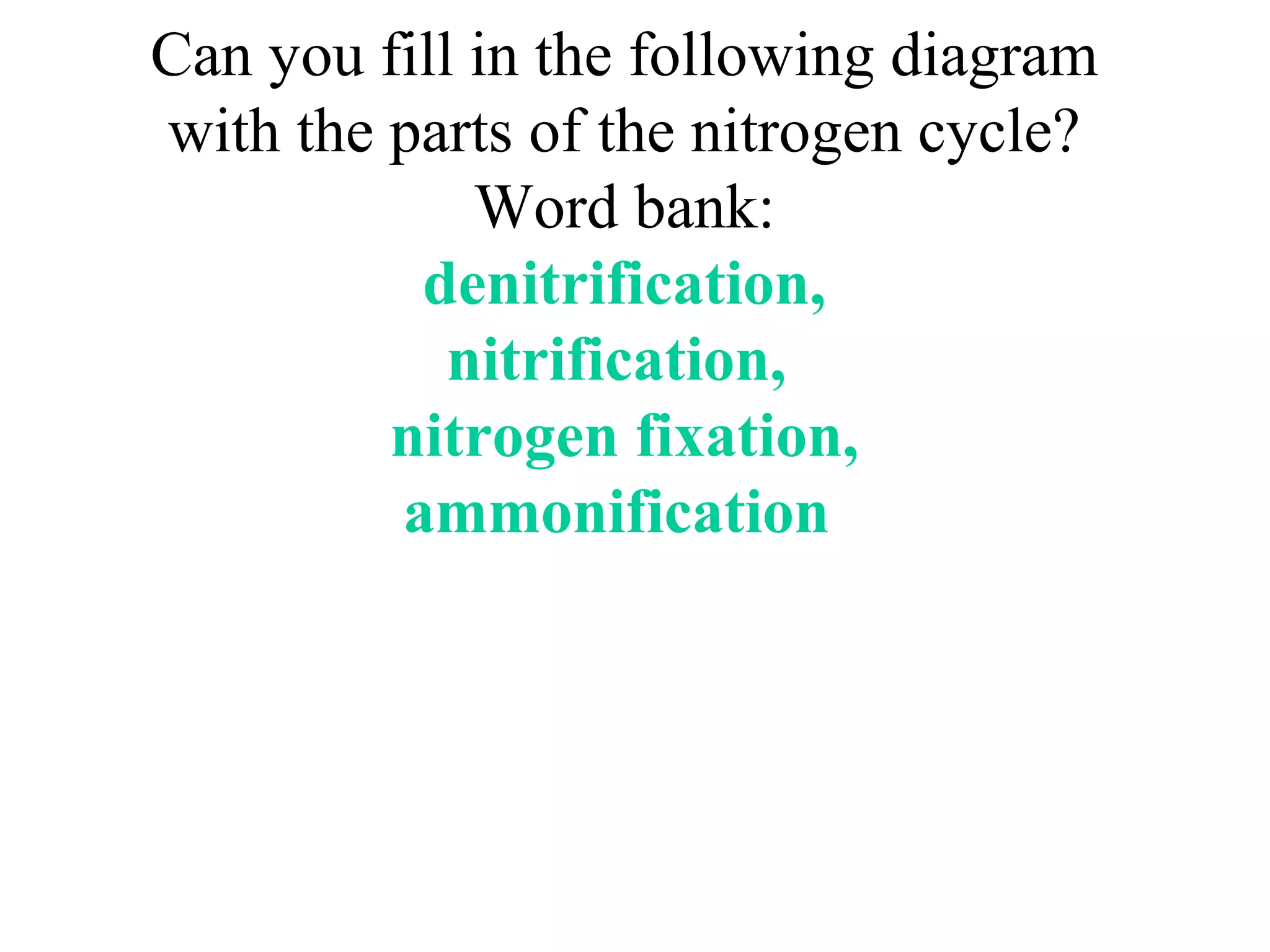 Can you fill in the following diagram
with the parts of the nitrogen cycle?
Word bank:
denitrification,
nitrification,
nitrogen fixation,
ammonification

 