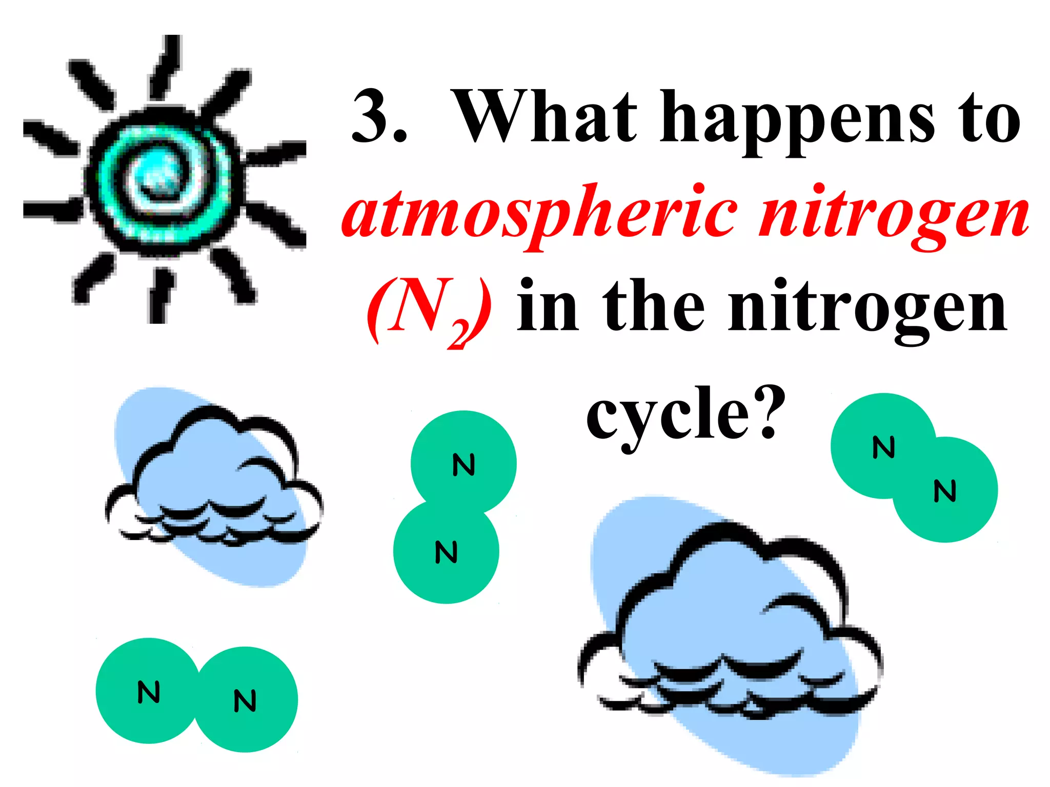 3. What happens to
atmospheric nitrogen
(N2) in the nitrogen
cycle?
N

N

N

N

N

N

 