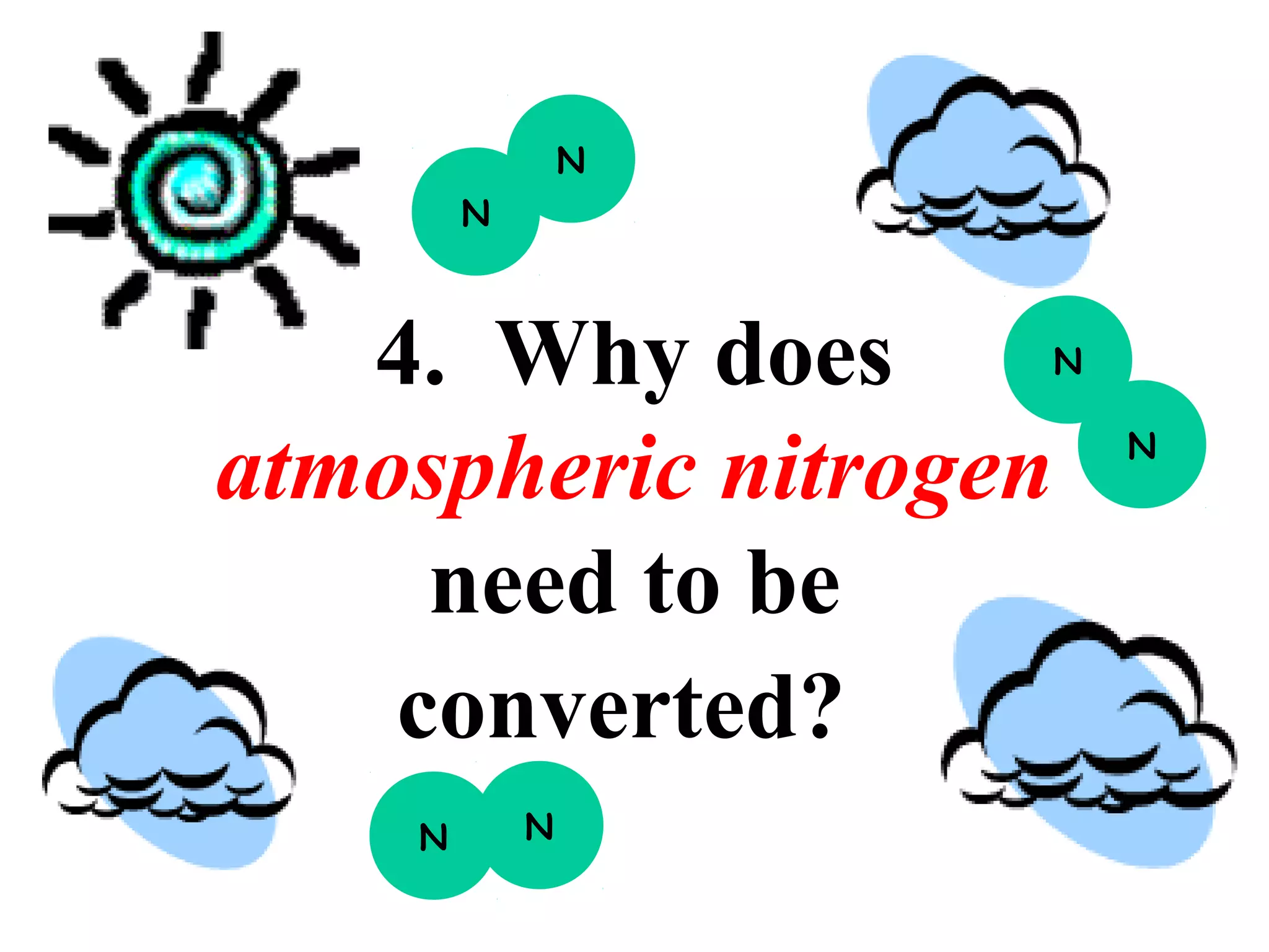 N
N

4. Why does
atmospheric nitrogen
need to be
converted?
N

N

N
N

 