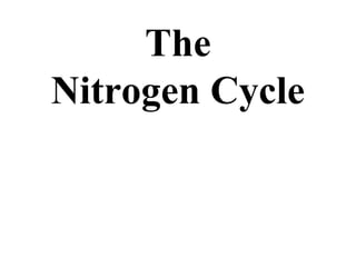 The
Nitrogen Cycle

 