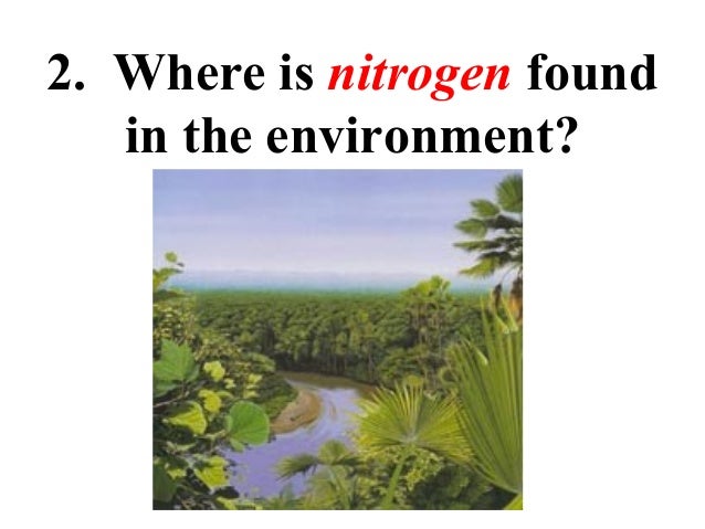 Where is nitrogen found throughout nature?