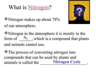 What is Nitrogen?
Nitrogen makes up about 78%
of our atmosphere.
Nitrogen in the atmosphere it is mostly in the
N2
form of ______, which is a compound that plants
and animals cannot use.
The process of converting nitrogen into
compounds that can be used by plants and
Nitrogen Cycle
animals is called the ______________________.

 