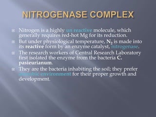  Nitrogen is a highly un reactive molecule, which
generally requires red-hot Mg for its reduction.
 But under physiological temperature, N2 is made into
its reactive form by an enzyme catalyst, nitrogenase.
 The research workers of Central Research Laboratory
first isolated the enzyme from the bacteria C.
pasieurianum.
 They are the bacteria inhabiting the soil; they prefer
anerobic environment for their proper growth and
development.
 