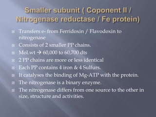  Transfers e- from Ferridoxin / Flavodoxin to
nitrogenase
 Consists of 2 smaller PP chains.
 Mol.wt  60,000 to 60,700 dts
 2 PP chains are more or less identical
 Each PP contains 4 iron & 4 Sulfurs.
 It catalyses the binding of Mg-ATP with the protein.
 The nitrogenase is a binary enzyme.
 The nitrogenase differs from one source to the other in
size, structure and activities.
 