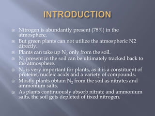  Nitrogen is abundantly present (78%) in the
atmosphere.
 But green plants can not utilize the atmospheric N2
directly.
 Plants can take up N2 only from the soil.
 N2 present in the soil can be ultimately tracked back to
the atmosphere.
 N2 is very important for plants, as it is a constituent of
proteins, nucleic acids and a variety of compounds.
 Mostly plants obtain N2 from the soil as nitrates and
ammonium salts.
 As plants continuously absorb nitrate and ammonium
salts, the soil gets depleted of fixed nitrogen.
 