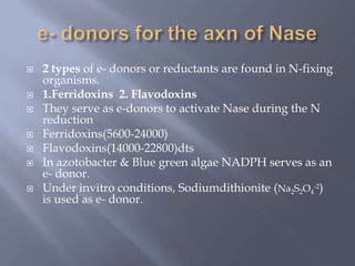 2 types of e- donors or reductants are found in N-fixing
organisms.
 1.Ferridoxins 2. Flavodoxins
 They serve as e-donors to activate Nase during the N
reduction
 Ferridoxins(5600-24000)
 Flavodoxins(14000-22800)dts
 In azotobacter & Blue green algae NADPH serves as an
e- donor.
 Under invitro conditions, Sodiumdithionite (Na2S2O4
-2)
is used as e- donor.
 