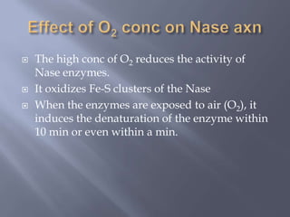  The high conc of O2 reduces the activity of
Nase enzymes.
 It oxidizes Fe-S clusters of the Nase
 When the enzymes are exposed to air (O2), it
induces the denaturation of the enzyme within
10 min or even within a min.
 